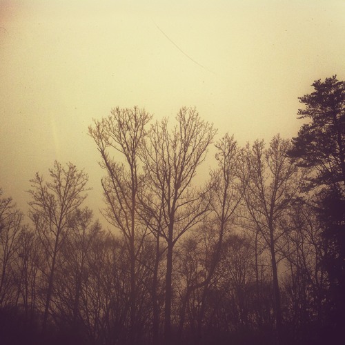 Palace (Instrumental)