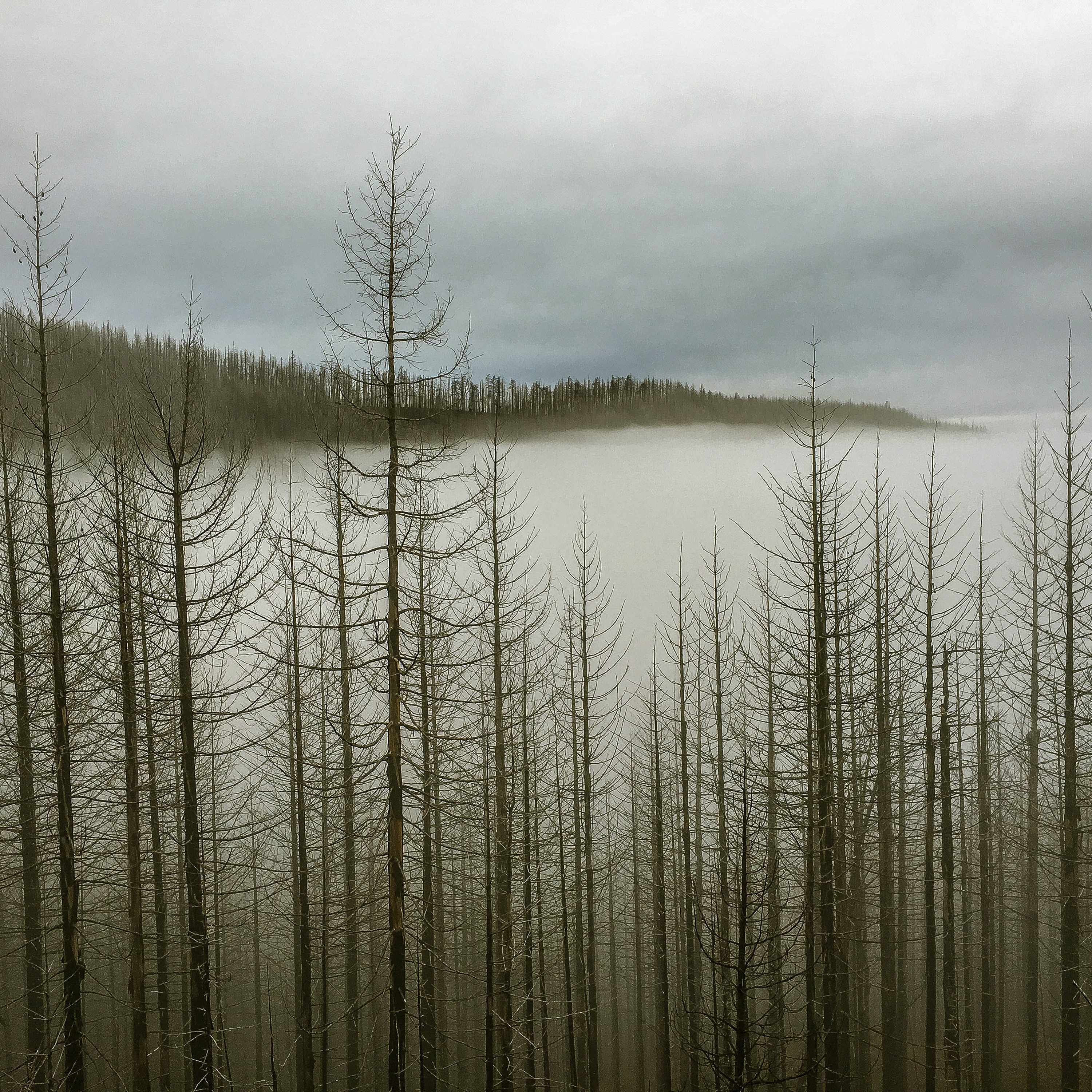 Hatfield Wilderness (Instrumental)