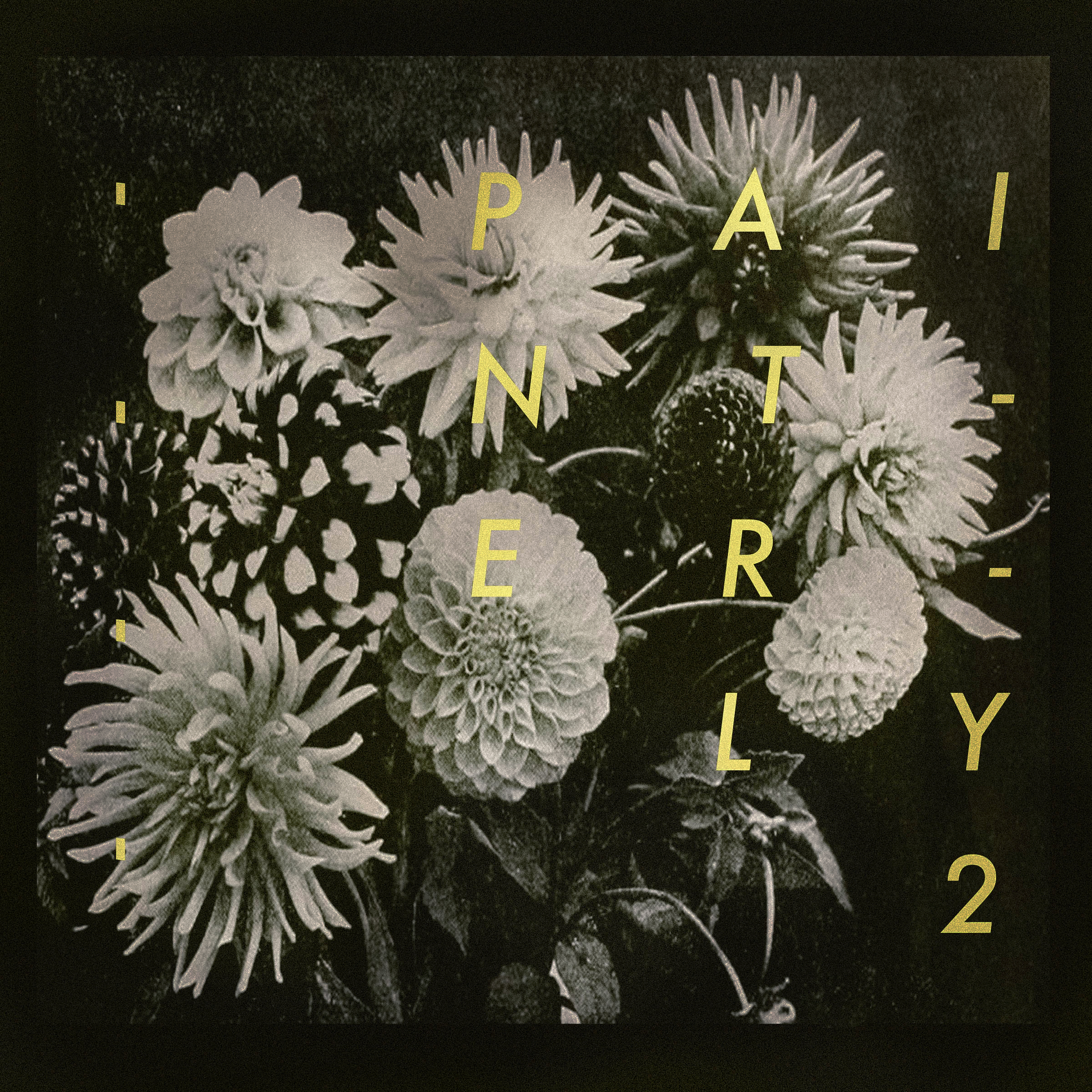 Gutbust (Instrumental)