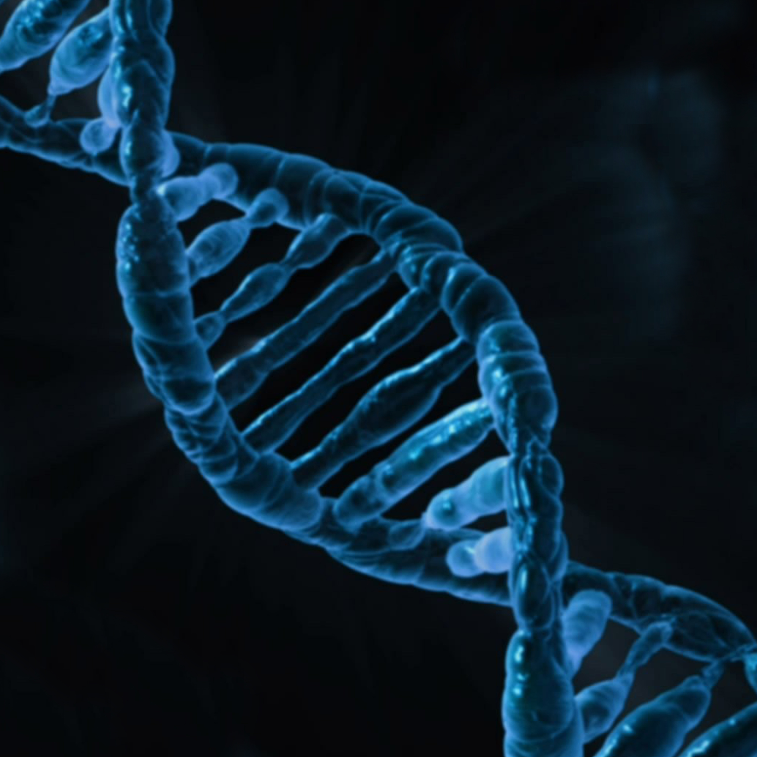 DNA (Instrumental)