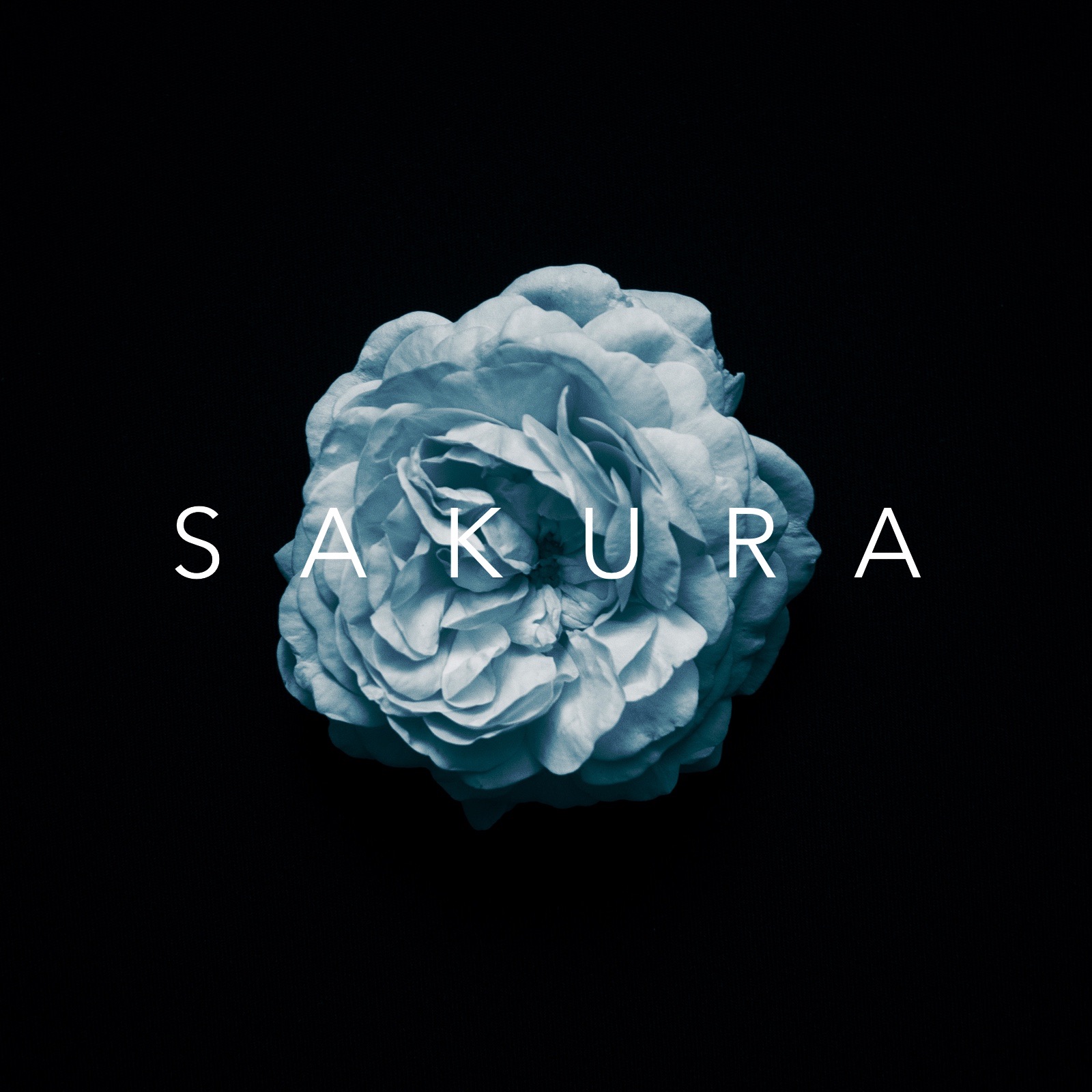Season and Months (Instrumental)