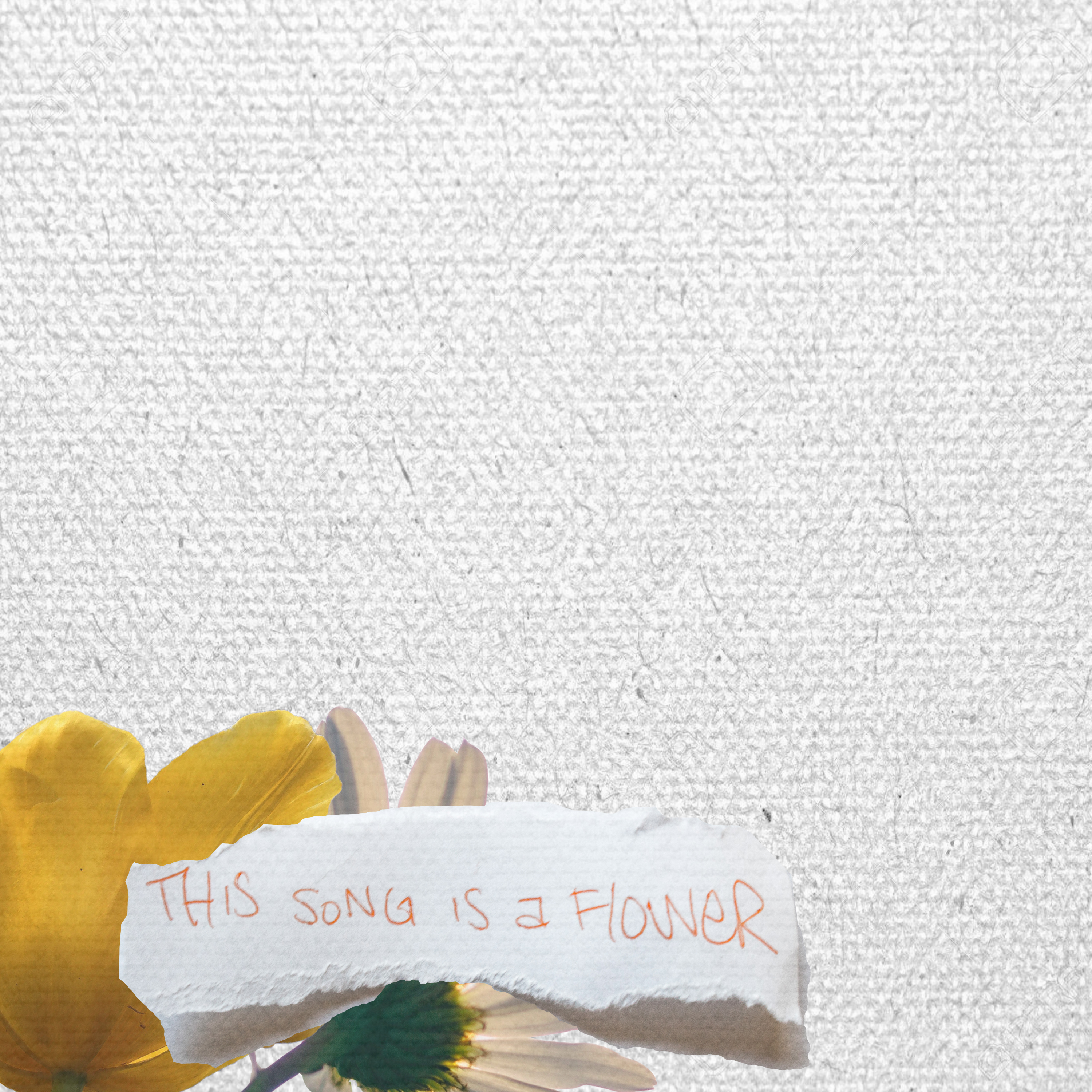 This Song is a Flower (Instrumental)