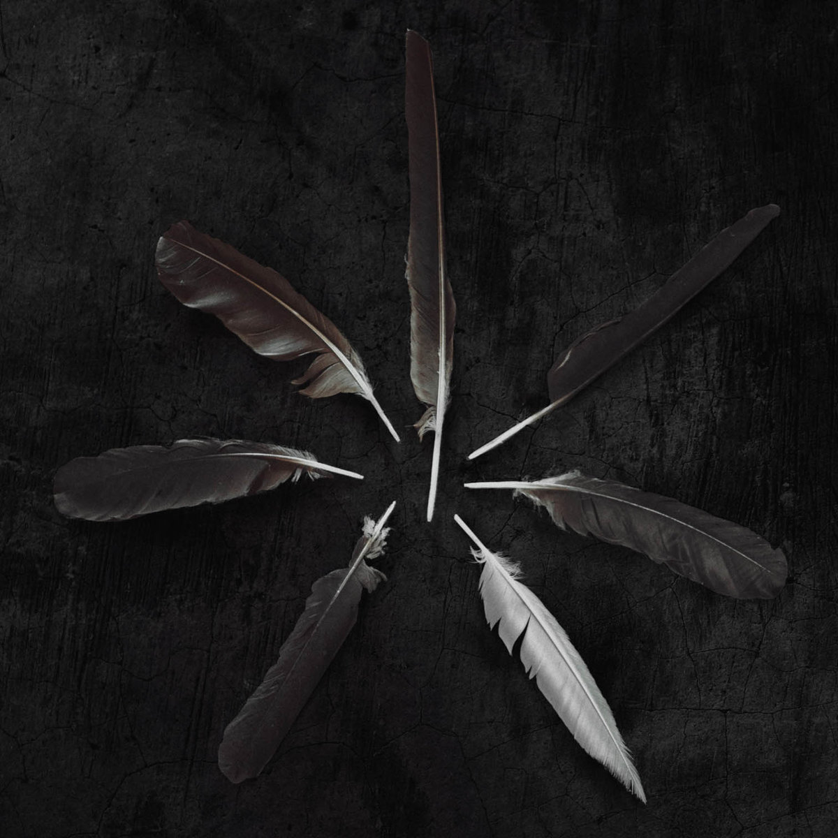 Darkfield (Instrumental)