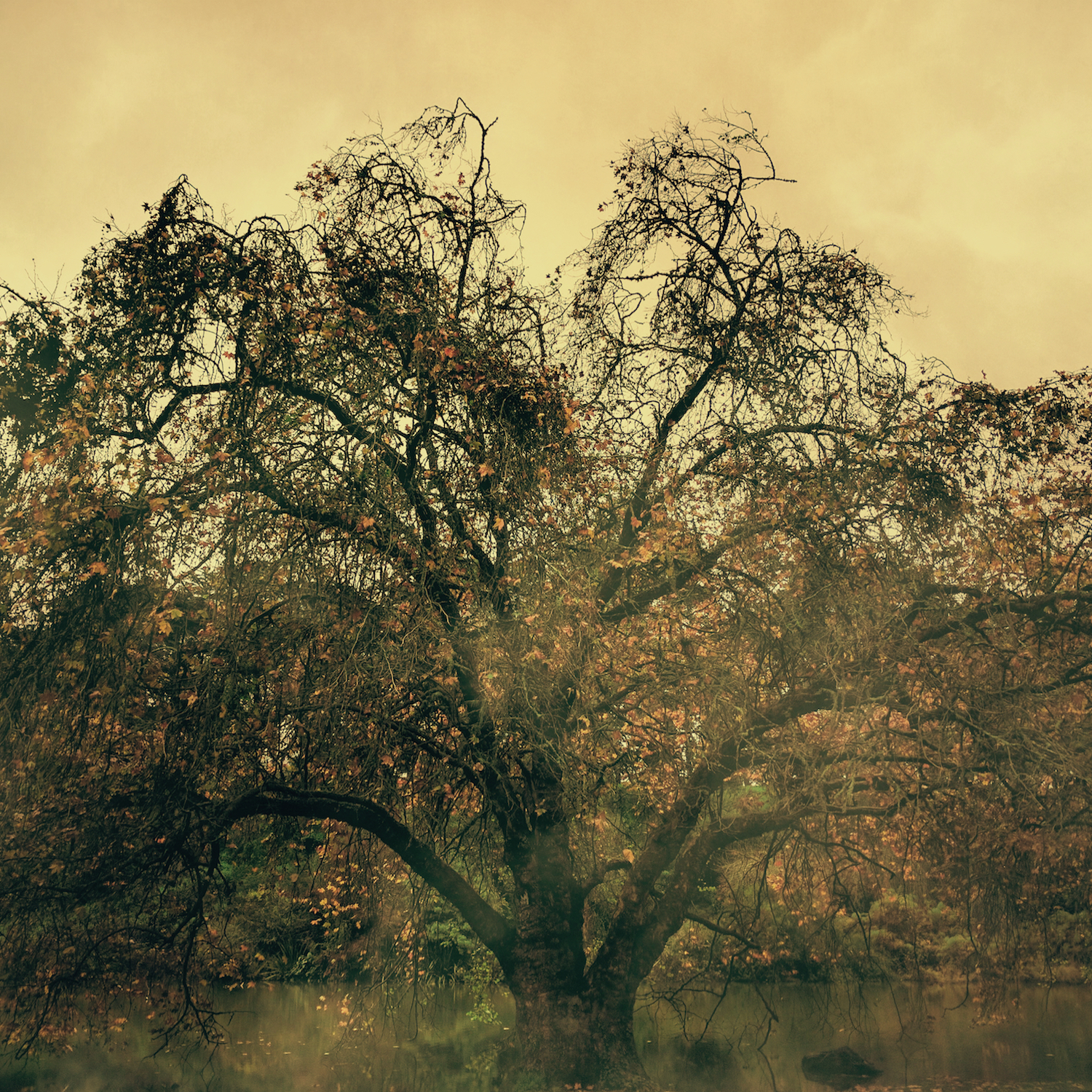 Sunfall feat. Carly Barnette
