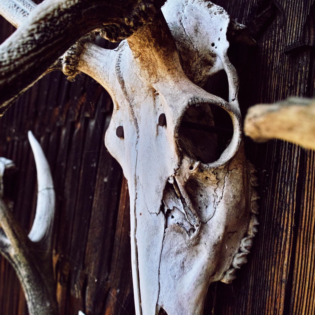 New Western (Instrumental)