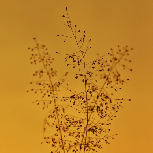 Little Boy (30) (Instrumental)
