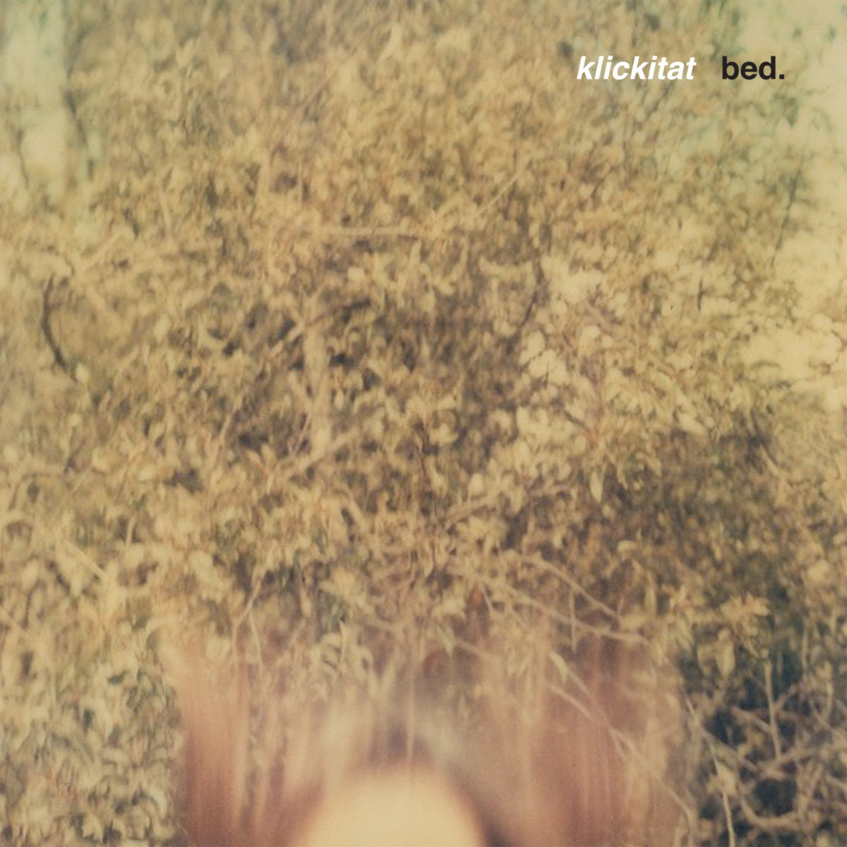 Wayward (Instrumental)