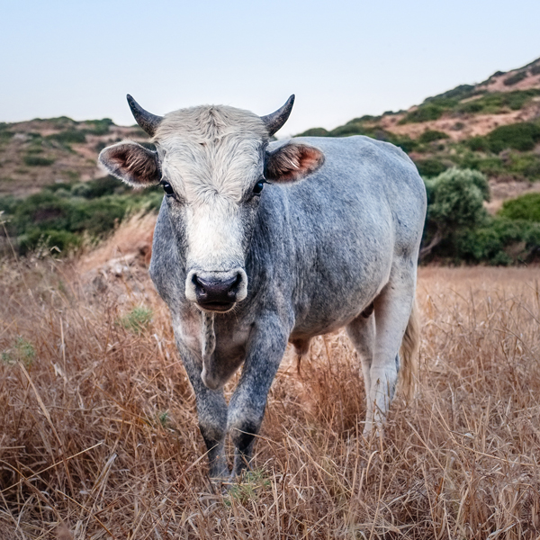 Do It Right (60) (Instrumental)